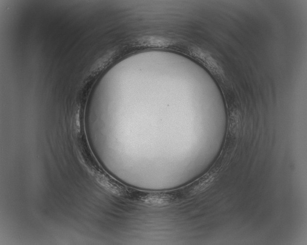 X0000082150358200702092157