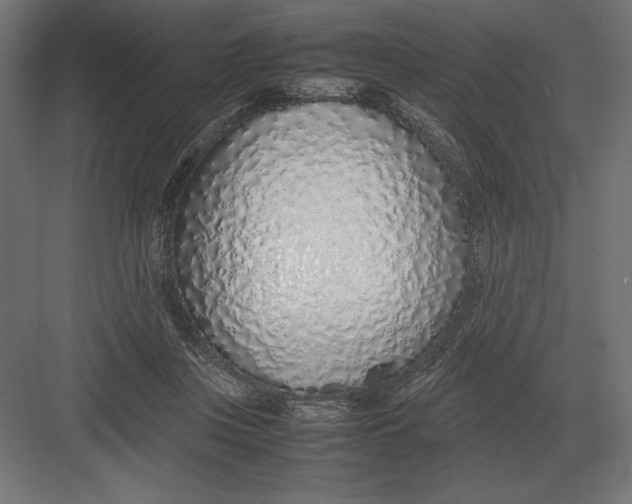 X0000082150359200702092157