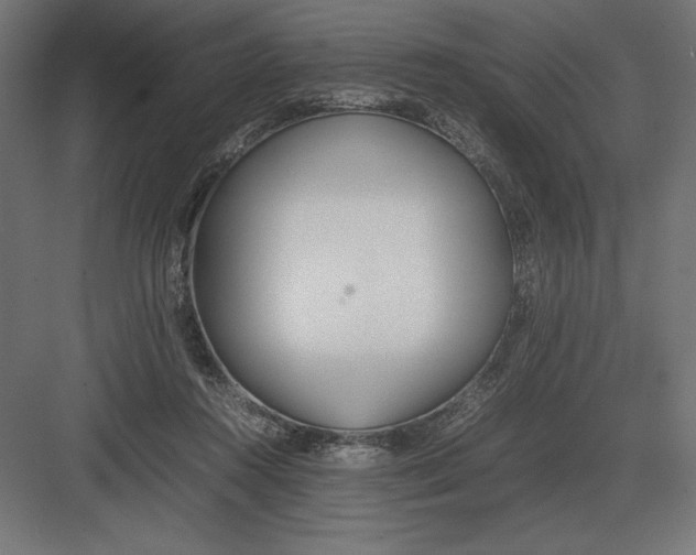 X0000082150360200702092157