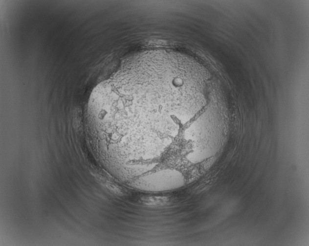 X0000082150361200702092157