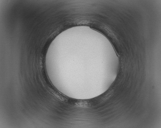 X0000082150362200702092157