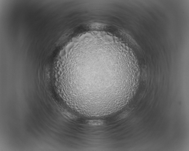 X0000082150363200702092157