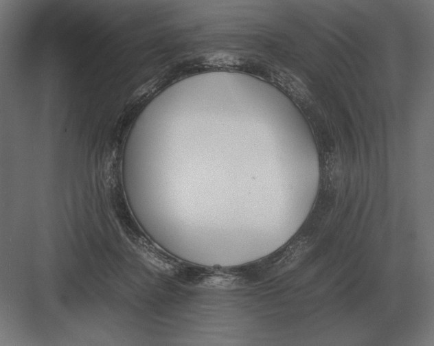 X0000082150364200702092157