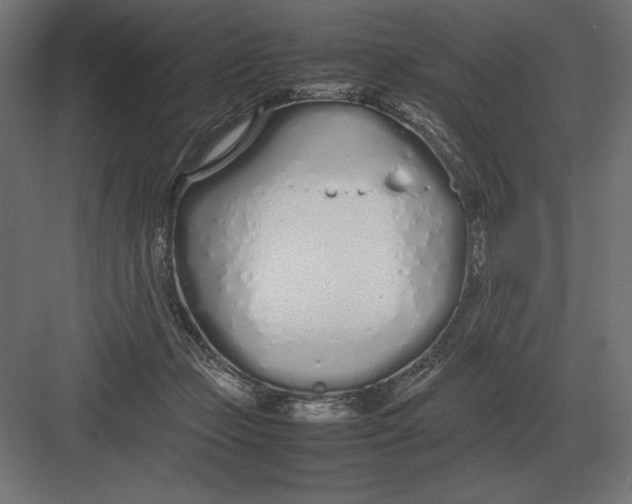 X0000082150365200702092157