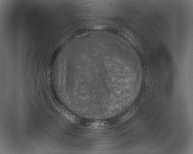 X0000082150366200702092157