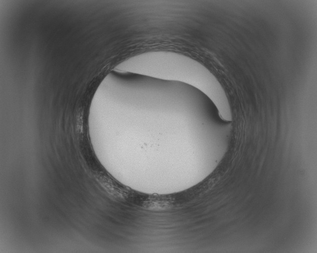 X0000082150368200702092157