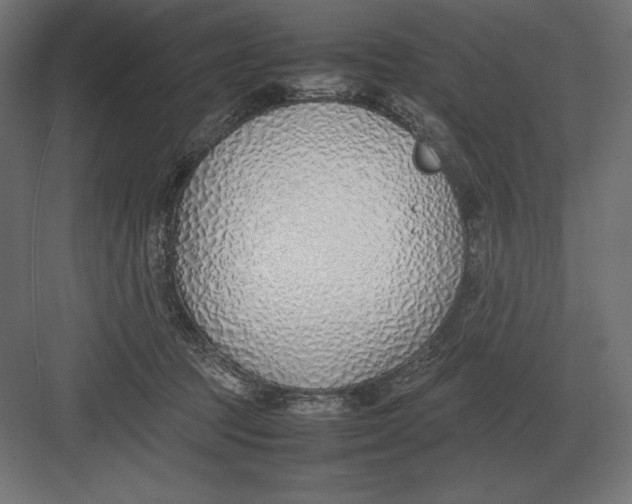 X0000082150369200702092157