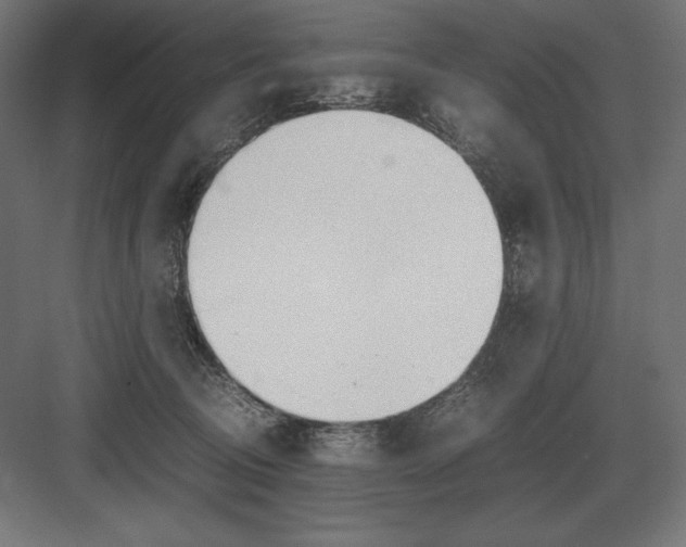 X0000082150370200702092157