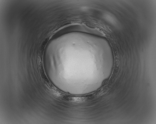 X0000082150371200702092157