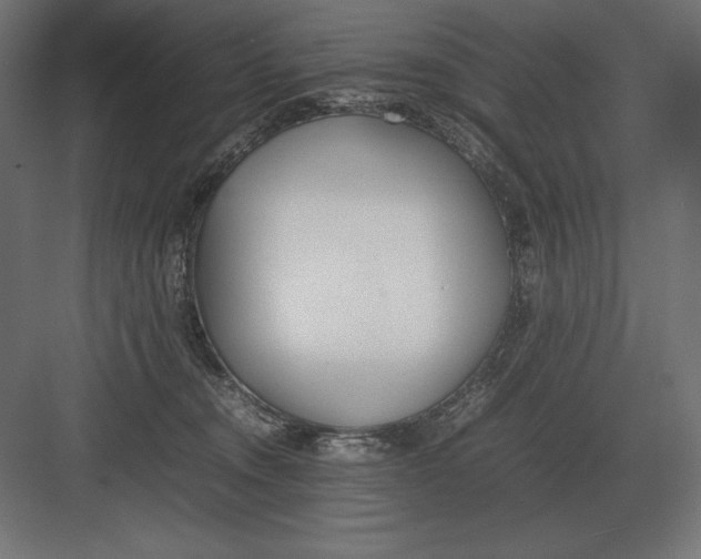 X0000082150372200702092157