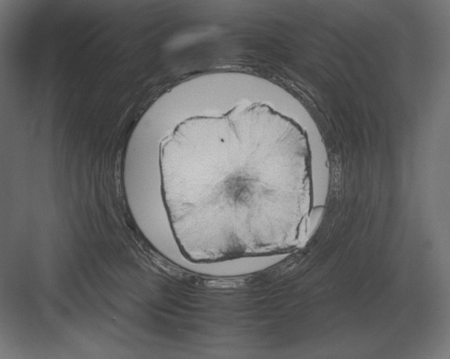 X0000082150373200702092157