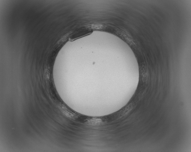 X0000082150374200702092157