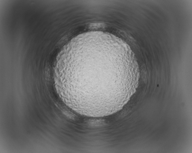 X0000082150375200702092157