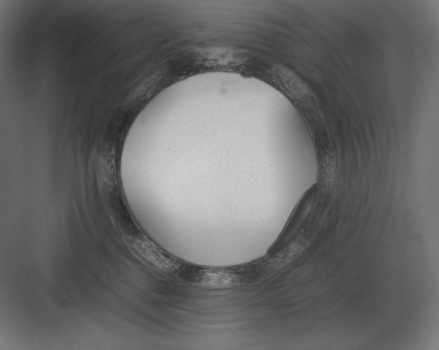 X0000082150376200702092157