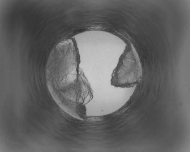 X0000082150377200702092157