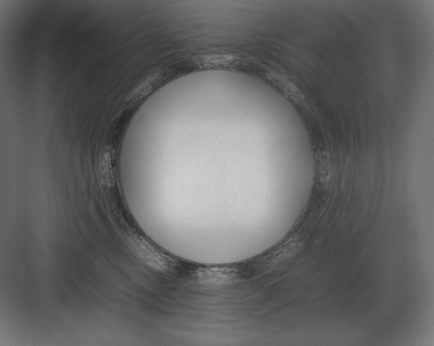 X0000082150378200702092157