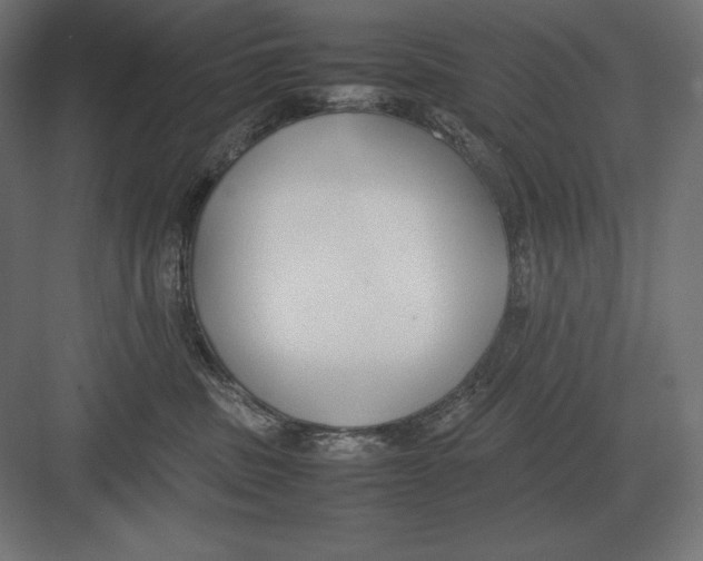 X0000082150379200702092157