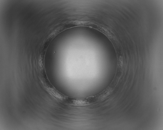 X0000082150380200702092157