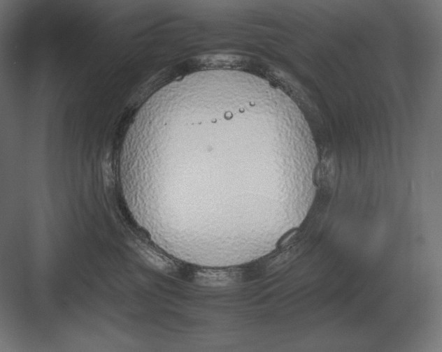 X0000082150381200702092157