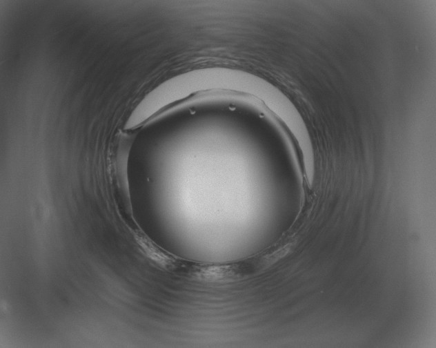 X0000082150382200702092157