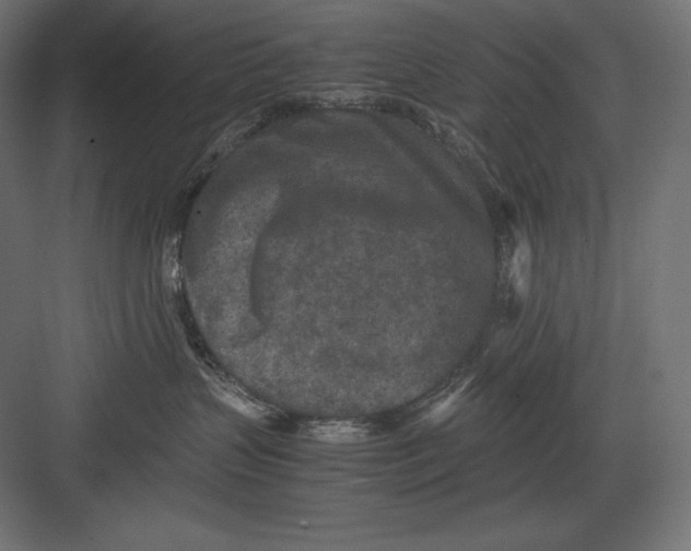 X0000082150383200702092157