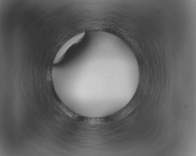 X0000082150384200702092157