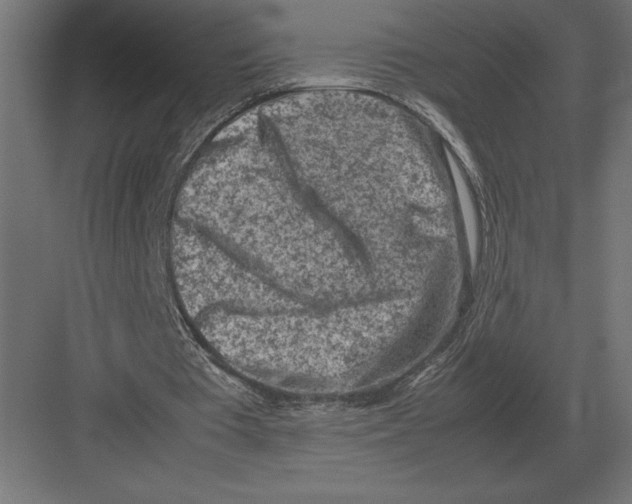 X0000082150385200702092156