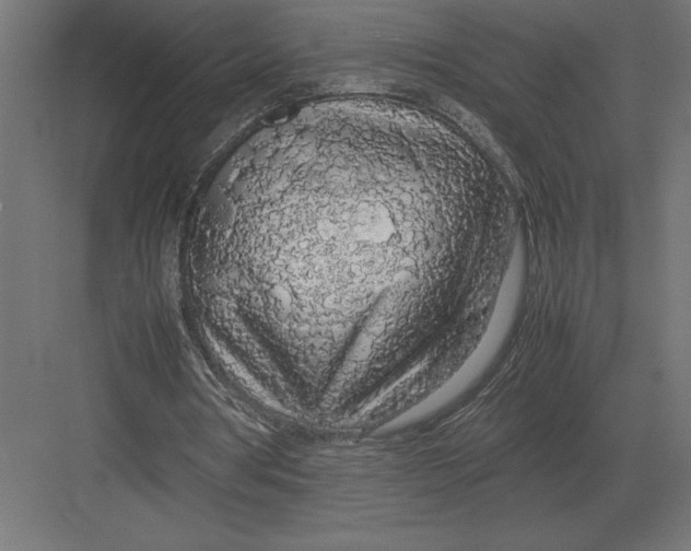 X0000082150386200702092156