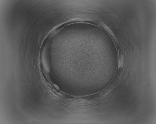 X0000082150387200702092156