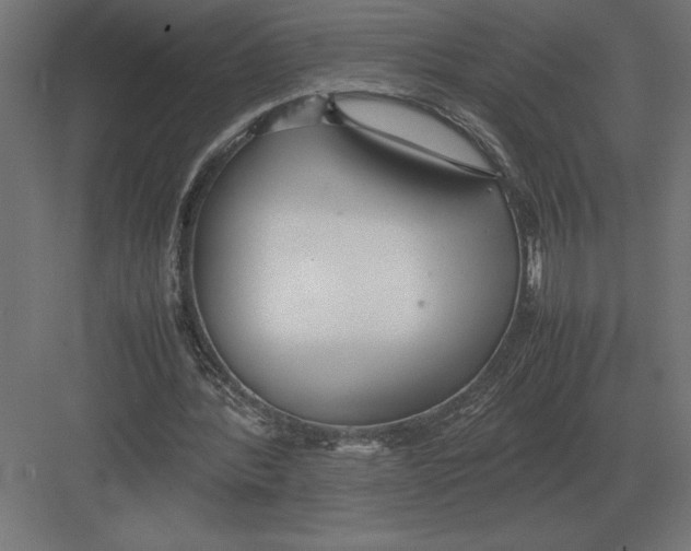 X0000082150388200702092156