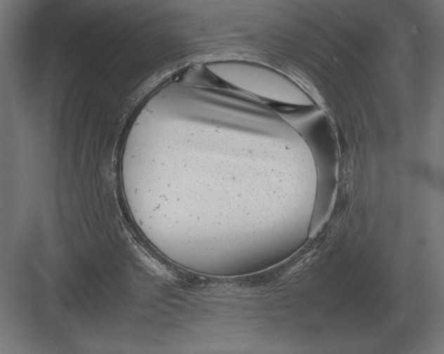 X0000082150389200702092156