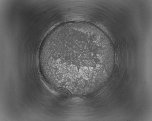 X0000082150390200702092156