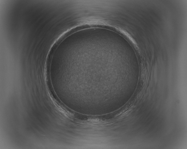 X0000082150391200702092156