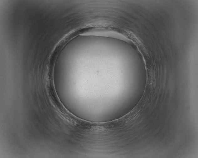 X0000082150392200702092156