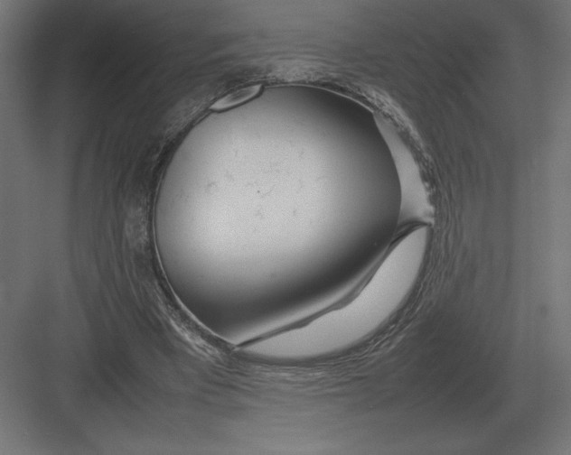 X0000082150393200702092156