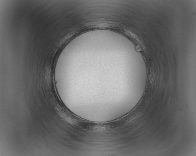 X0000082150394200702092156