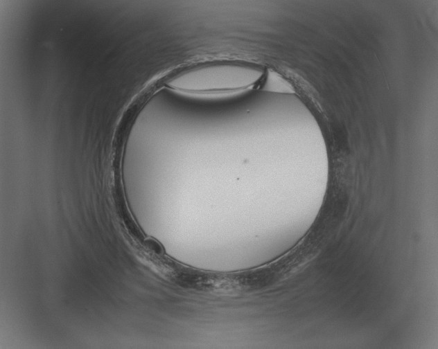 X0000082150395200702092156