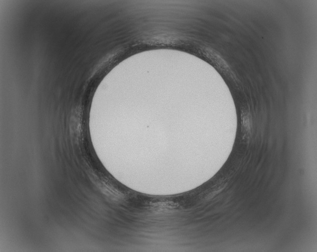 X0000082150396200702092156