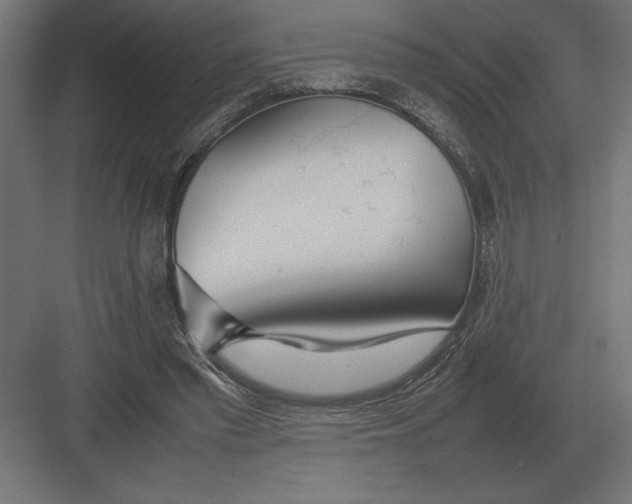 X0000082150397200702092156