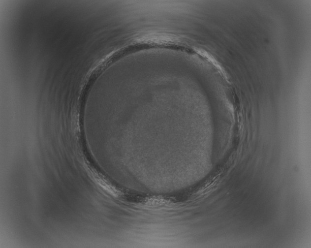 X0000082150399200702092156