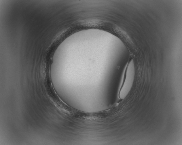 X0000082150400200702092156