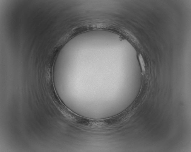 X0000082150401200702092156