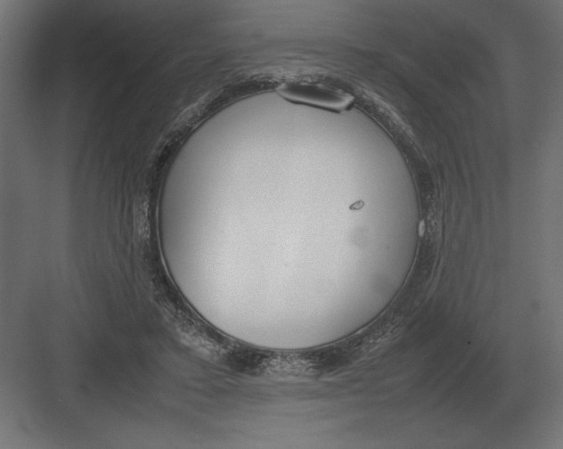 X0000082150403200702092156