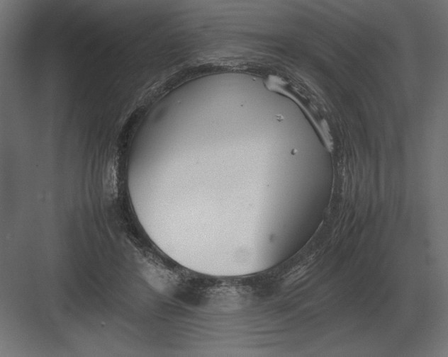 X0000082150404200702092156