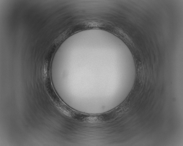 X0000082150406200702092156