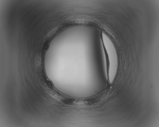 X0000082150407200702092156