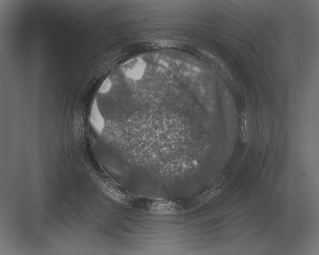 X0000082150410200702092156