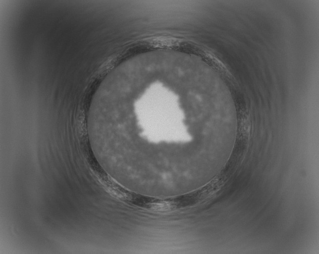 X0000082150411200702092156