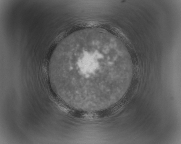 X0000082150415200702092156