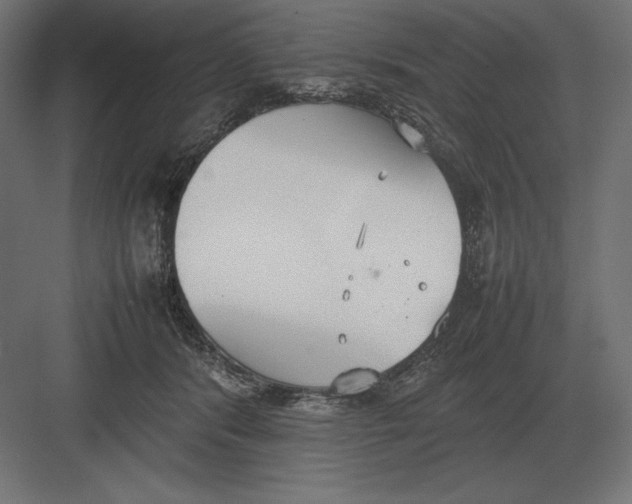 X0000082150416200702092156